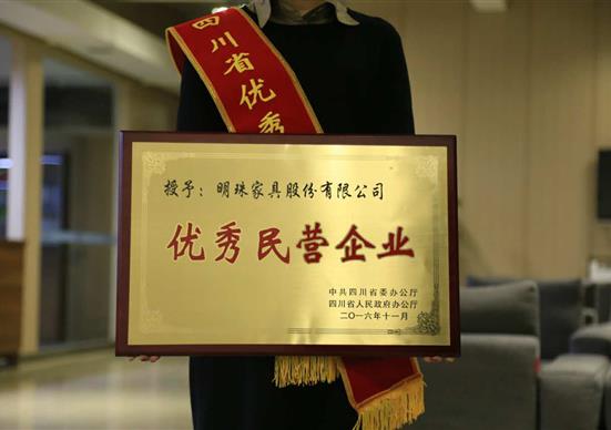 掌上明珠家居榮獲四川省“優(yōu)秀民營企業(yè)”稱號